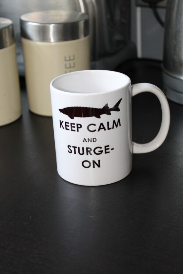 Novelty Mugs - Christmas and Birthday Ideas! - Image 3