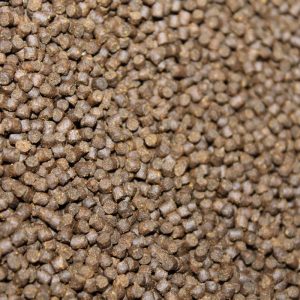 Sinking Sturgeon Pellets