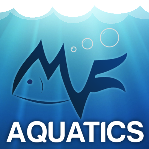 YouTube channel for MF Aquatics launched!