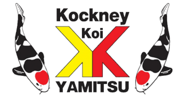 Kockney Koi