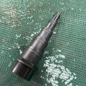 Stepped Hosetail